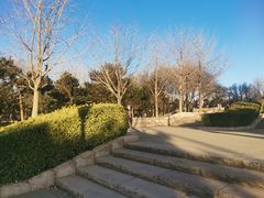 -玲珑塔公园