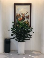 -众山臻美医疗美容医院