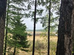 -塞罕坝国家级自然保护区