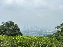 -火炉山森林公园