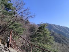 -王顺山国家森林公园