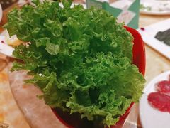 -清真军邺·金富苑肥牛(石坡街旗舰店)