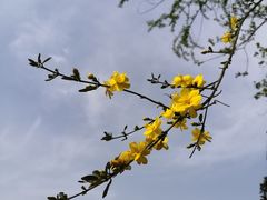 -长广溪湿地公园