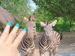 -北京野生动物园