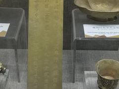 -烟台自然博物馆