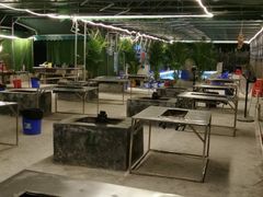 -会江钓鱼钓虾烧烤场