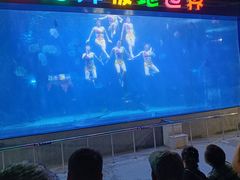 -蓬莱欧乐堡海洋极地世界