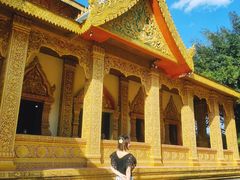 -西双版纳勐泐文化旅游区