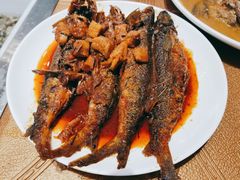 -正亮农家院·海鲜本地菜
