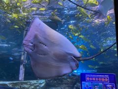 -太平洋海底世界