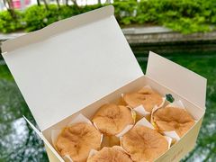 -环城公园