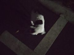 -上海颛桥万达广场