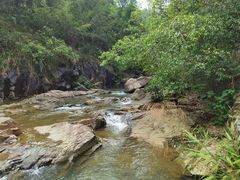 -广州白江湖森林公园