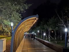 -长白岛森林公园