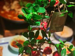 -遇见长安之高山流水(李家村万达店)