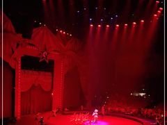 -珠海横琴长隆《卡卡虎奇遇记》