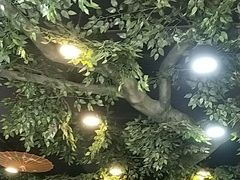 -活鱼馆(宜兴埠店)