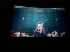 -金逸影城(中关村店)