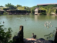 -长鹿旅游休博园