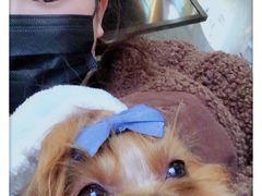 -PETKIT小佩宠物·低压洗护(国顺东路店)