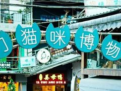 -猫咪博物馆(顶澳仔猫街店)