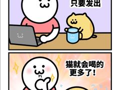 -lincat·猫舍(广州店)