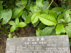 -海口火山口国家地质公园