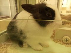 -龙猫仔乐园(惠福东路店)