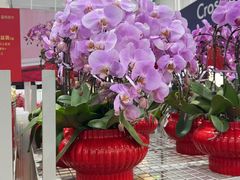-山姆会员商店(亦庄创意生活广场店)