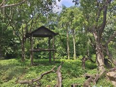 -广州长隆野生动物世界