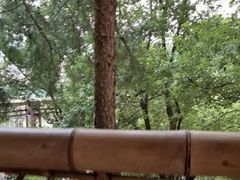 -巴倒烫陆派火锅山庄(南山总店)