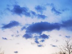 -亮马河饭店翠雅咖啡厅