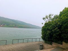 -羊山湖公园
