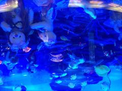 泰迪熊博物馆-成都泰迪熊博物馆