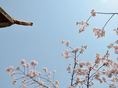-苏州上方山国家森林公园