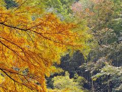 -丹山赤水风景名胜区