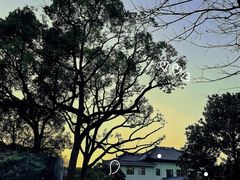 -浙江西子宾馆·瑶园咖啡厅