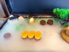 -同仁堂粹和餐厅·食养养生宴(新大都店)