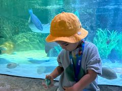 -沈阳海洋探索中心