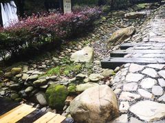 -明月山天沐温泉度假村