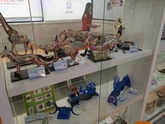 -斯坦星球AI编程·机器人科创·科学实验·信奥·思维·STEM·乐高·竞赛考级(长宁虹桥大融城荟聚中心)