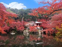 -醍醐寺