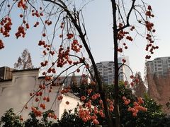 -亢龙太子酒轩·花园店