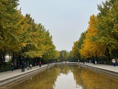 -玲珑塔公园