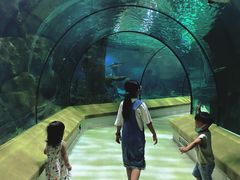 -福州罗源湾海洋世界旅游区