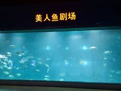 -福州罗源湾海洋世界旅游区