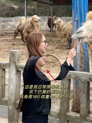-上海伊莱美医疗美容医院