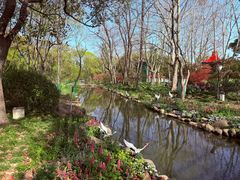 -共青国家森林公园-售票处