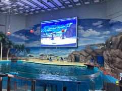 -福州罗源湾海洋世界旅游区