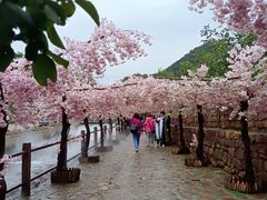 -山叶口景区